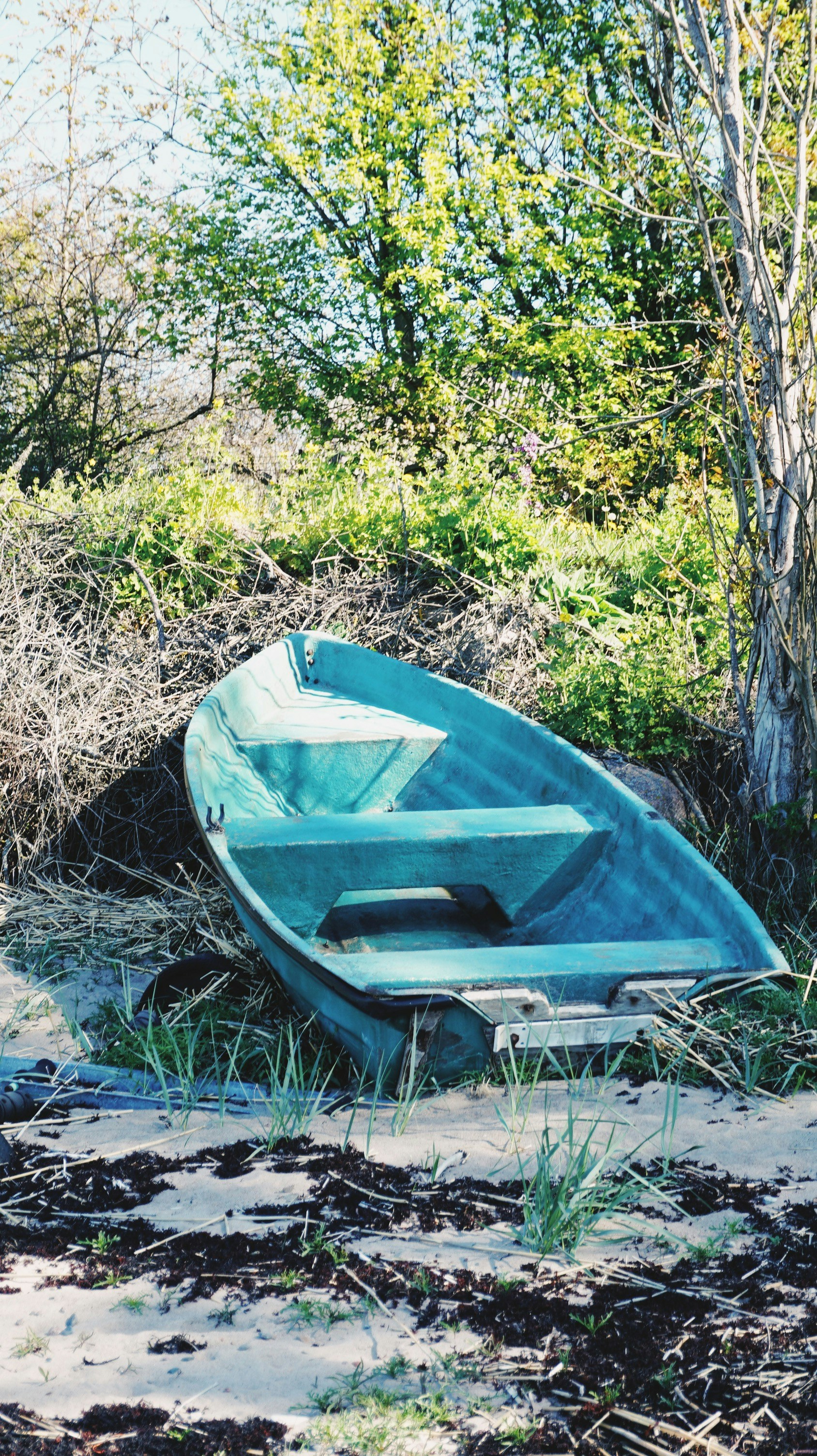 Photo by matheusfrade