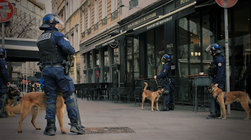 man in blue jacket walking with brown short coated dog on street during daytime