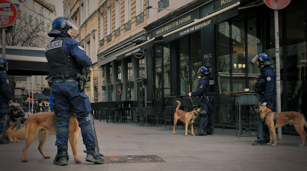 homme en veste bleue marchant avec un chien brun à poil court dans la rue pendant la journée
