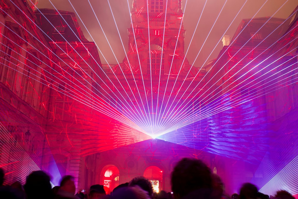 people standing near pink and white lights