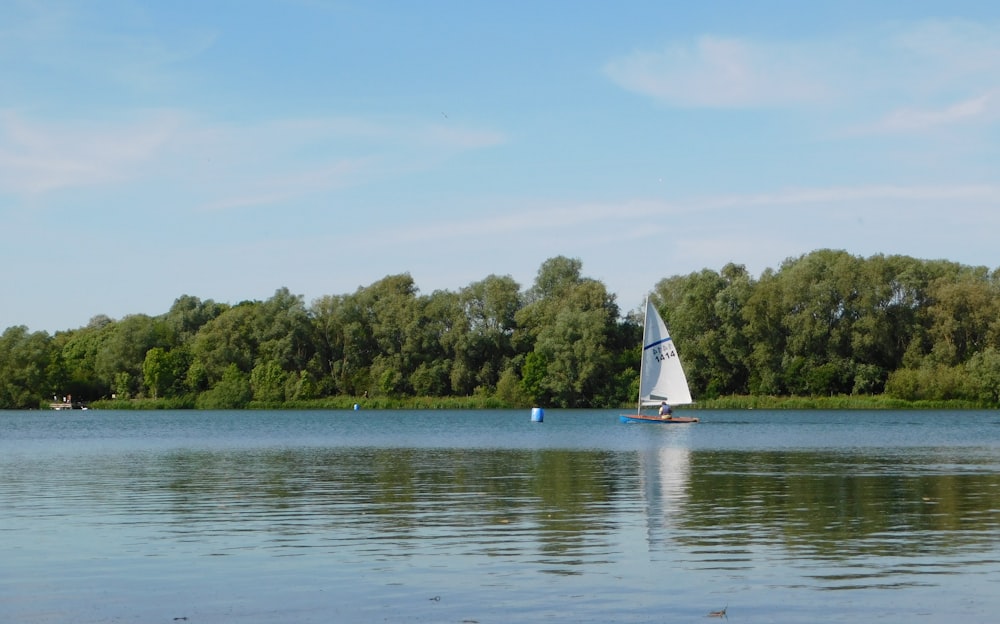 white sailboat on body of water near green trees during daytime