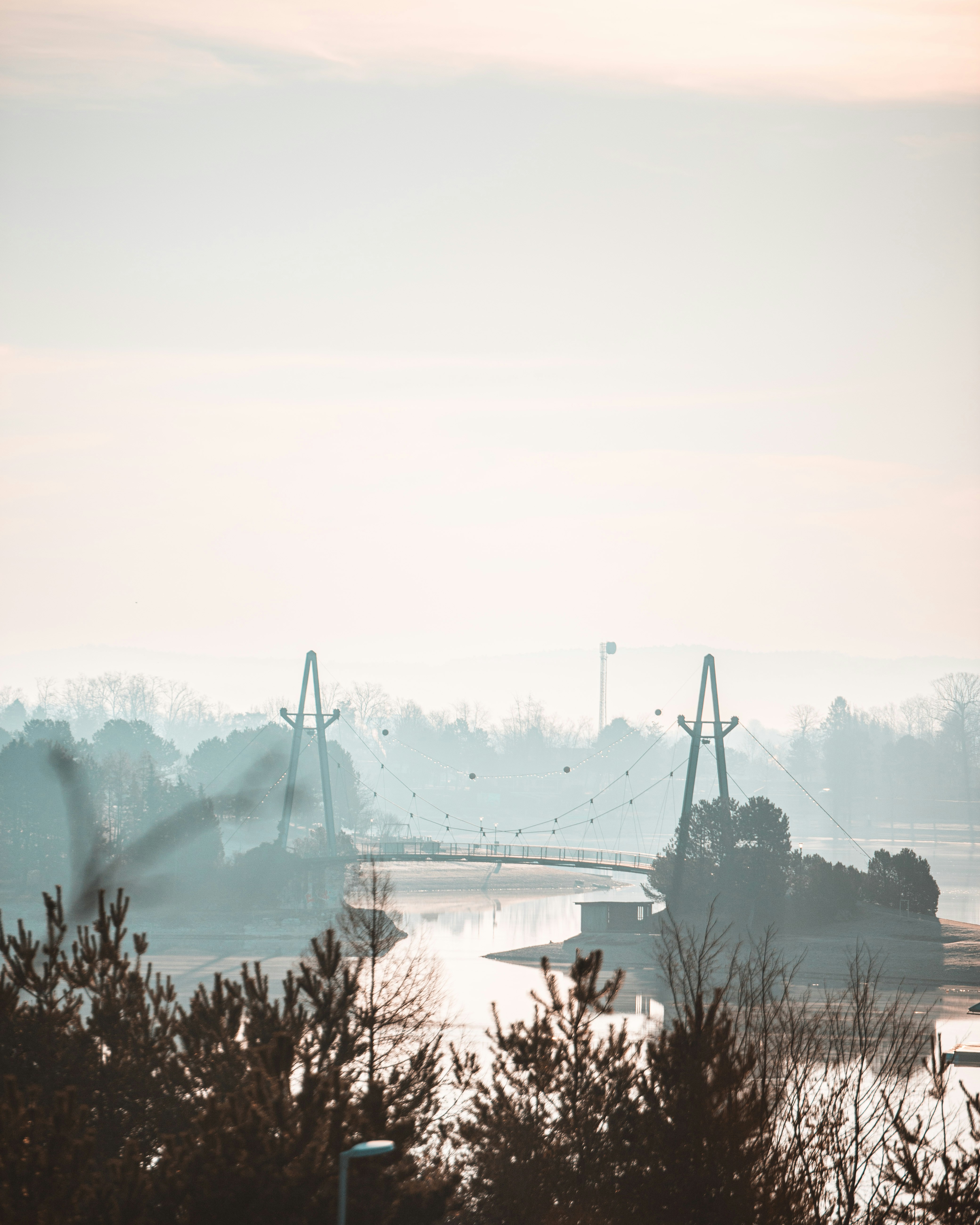 Photo by apollon