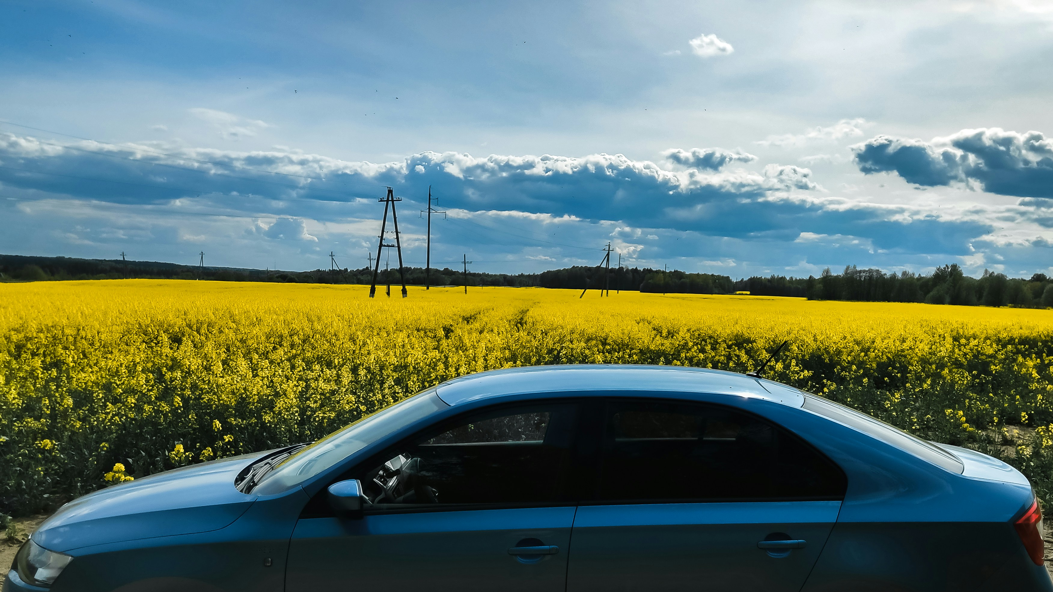 yellow car on yellow flower field under white clouds during daytime