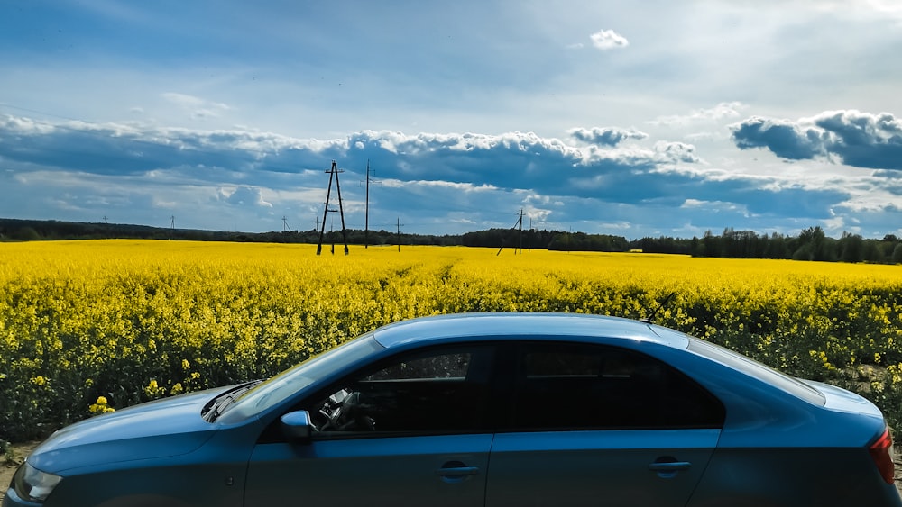 yellow car on yellow flower field under white clouds during daytime