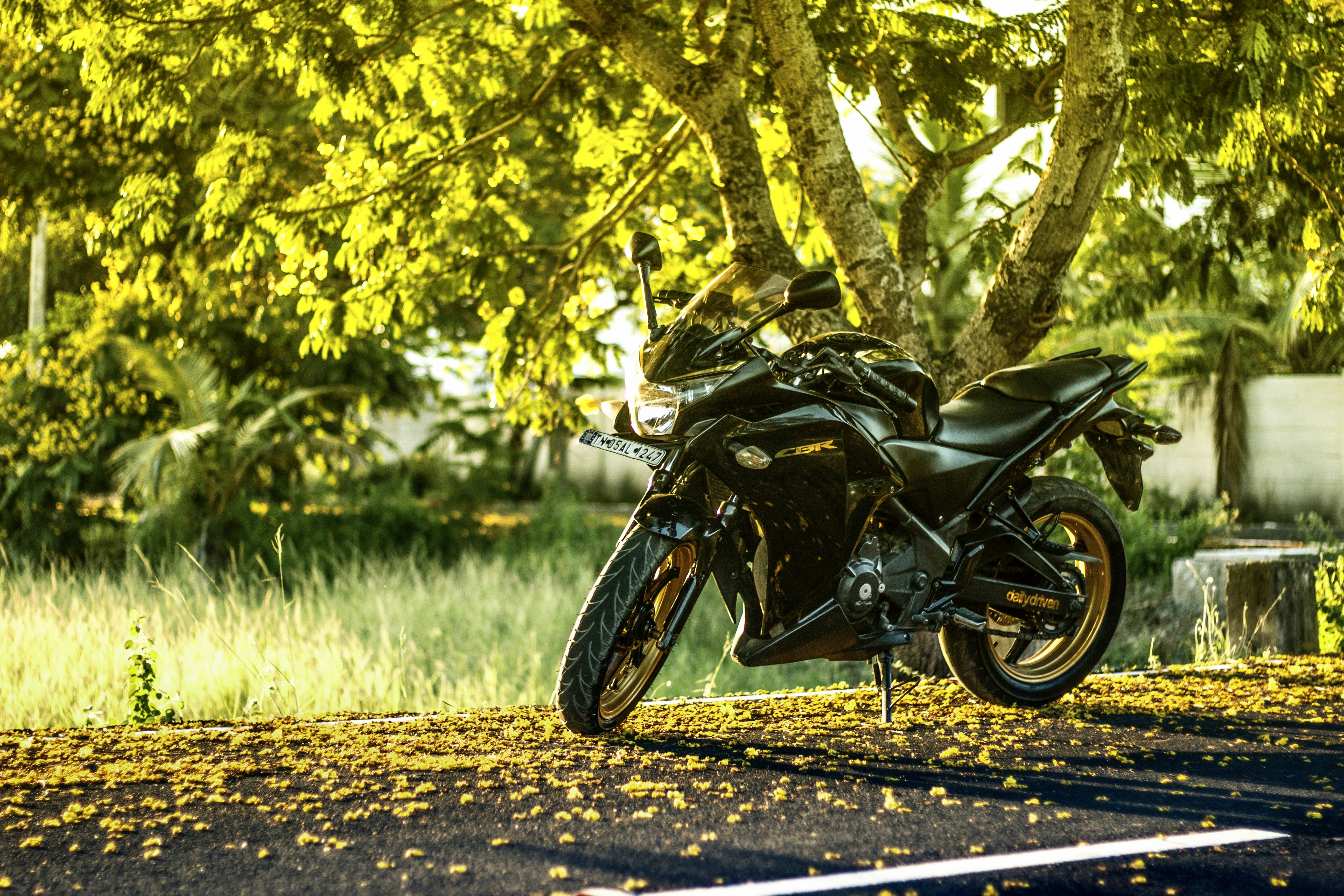 Photo by chandler_m_bing