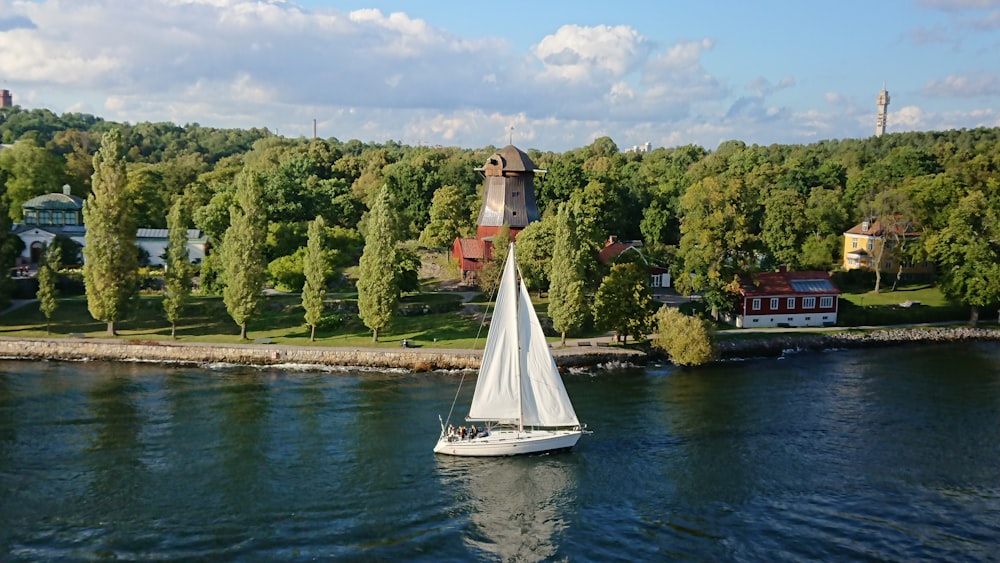 white sailboat on river near green trees during daytime