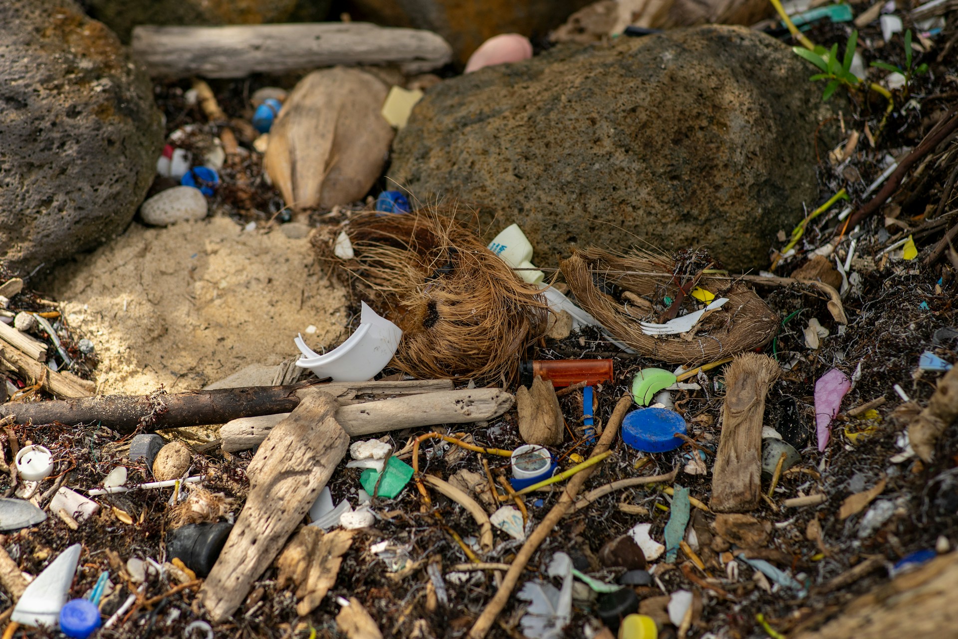 gray computer monitor