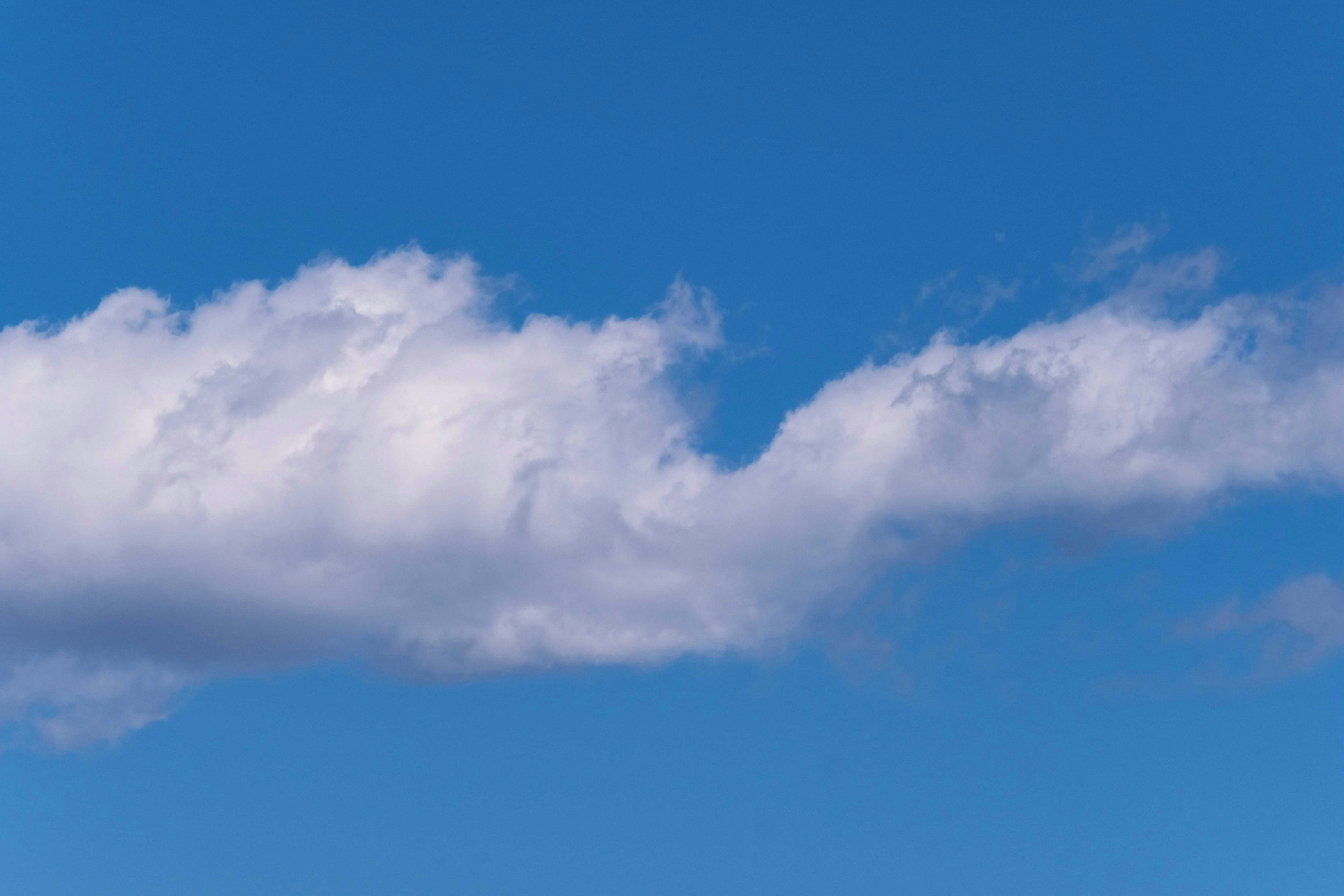 Photo by francesco_ungaro