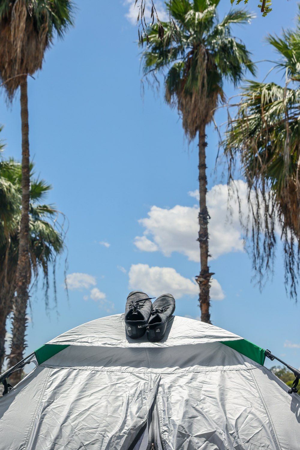 black helmet on white and green tent