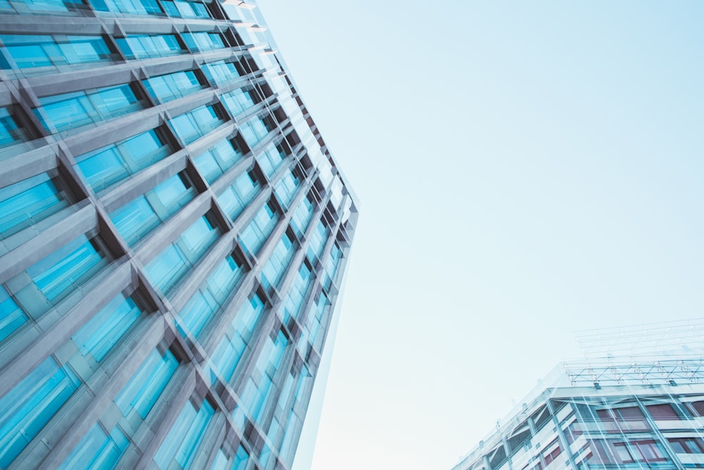 blue and white concrete building