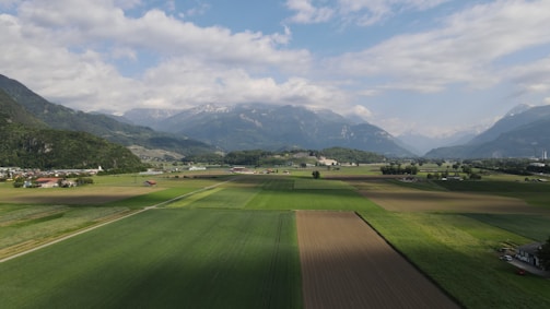 A picturesque view of Ecuadorian farms with crops.