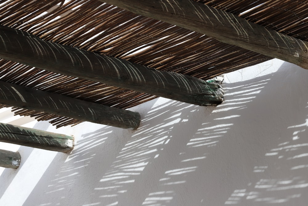 brown bamboo tree near body of water during daytime