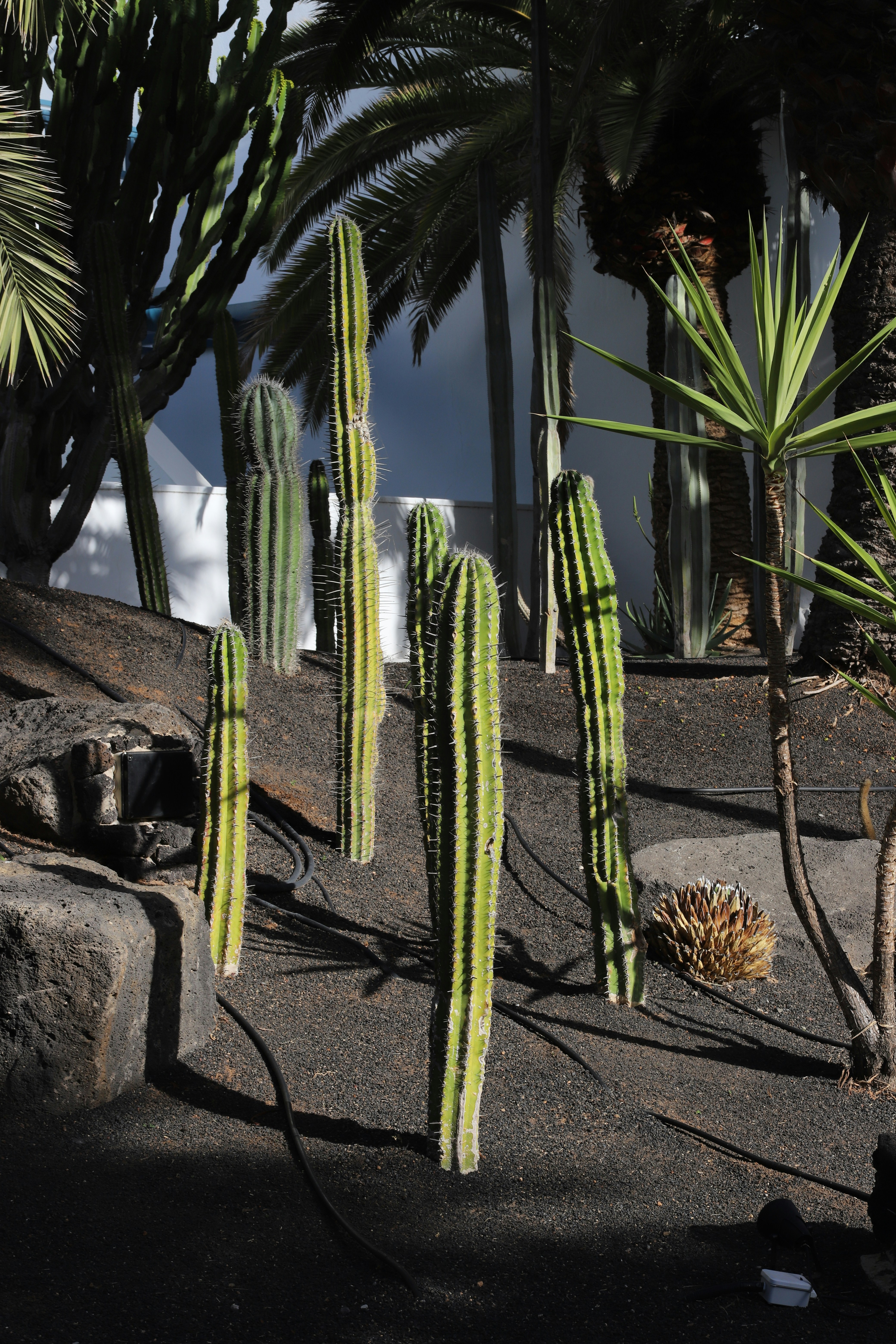 Photo by lucyjoyparis