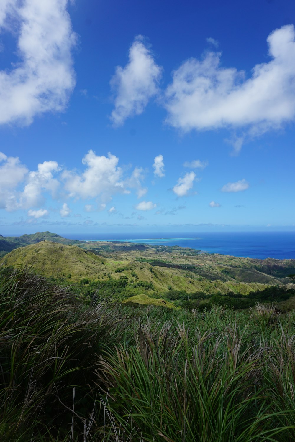 green grass field near blue sea under blue sky during daytime