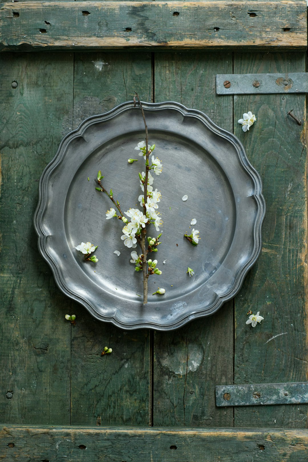 green leaves on gray round plate