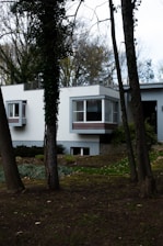 white and brown house near green trees during daytime