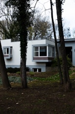white and brown house near green trees during daytime