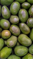 A collection of fresh, green mangoes closely packed together. The mangoes have smooth skin with patches of lighter green and are arranged in an overlapping pattern. Some mangoes have small, protruding stems visible.