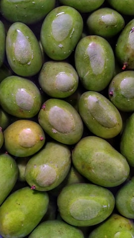 A collection of fresh, green mangoes closely packed together. The mangoes have smooth skin with patches of lighter green and are arranged in an overlapping pattern. Some mangoes have small, protruding stems visible.