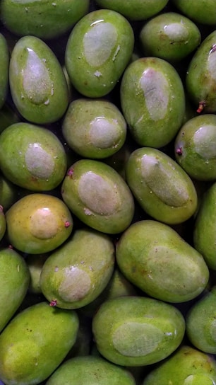 A collection of fresh, green mangoes closely packed together. The mangoes have smooth skin with patches of lighter green and are arranged in an overlapping pattern. Some mangoes have small, protruding stems visible.