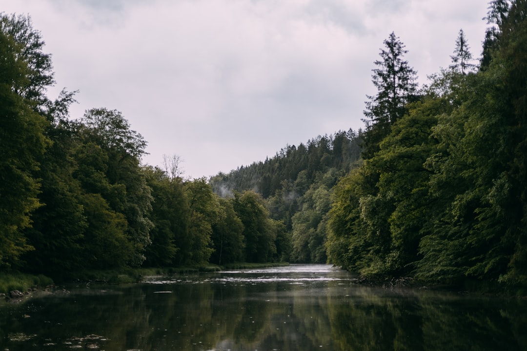 travelers stories about River in Herbeumont, Belgium