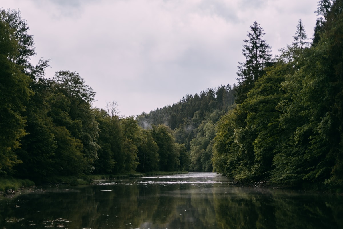 Kajakken op de Ourthe en dineren bij een oud-Michelin chef in La Roche-en-Ardenne