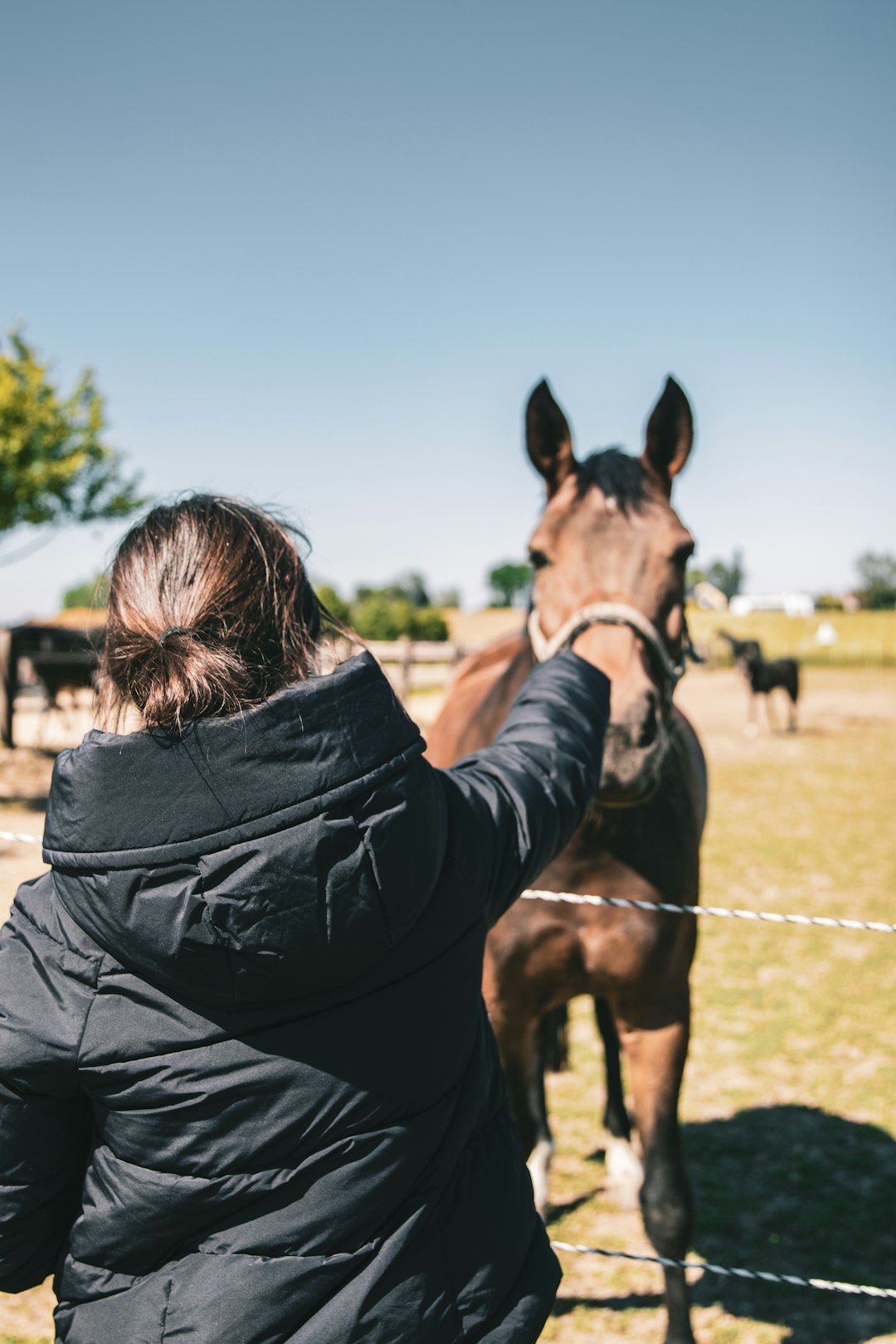 woman in black jacket standing beside brown horse during daytime