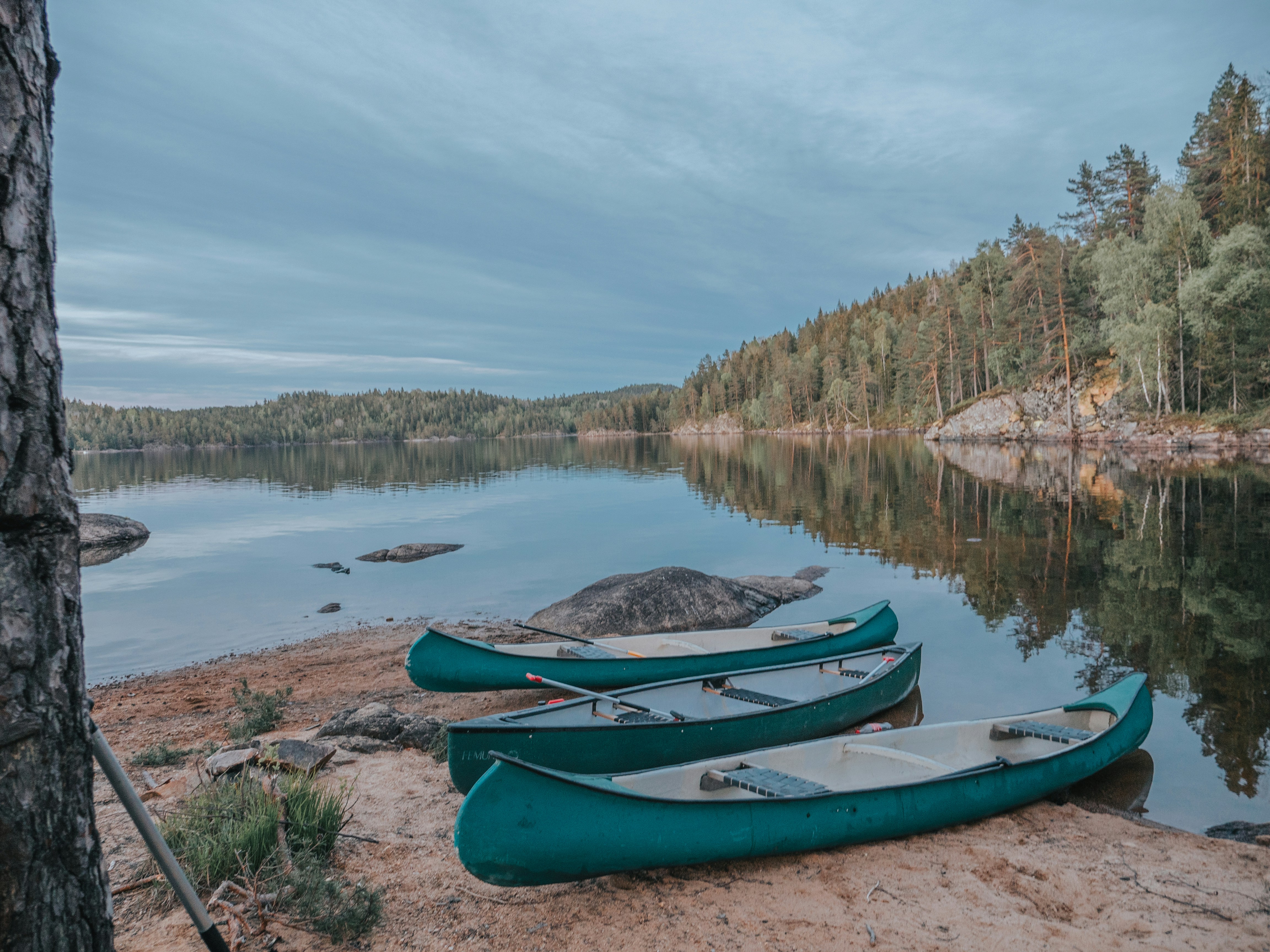 blue kayak on lake shore during daytime