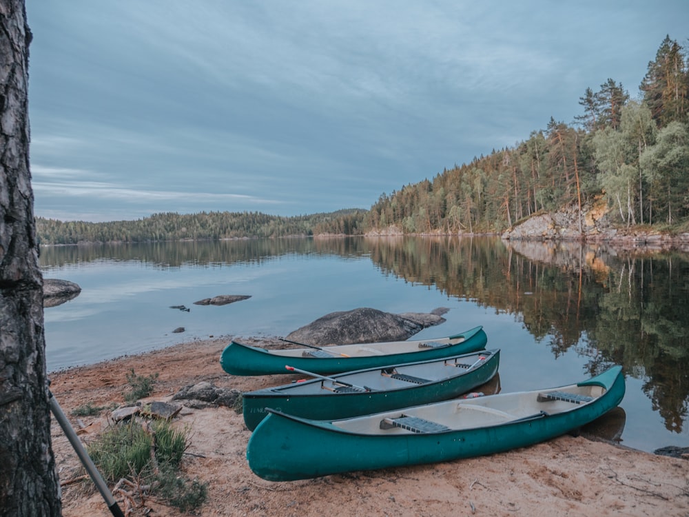 blue kayak on lake shore during daytime