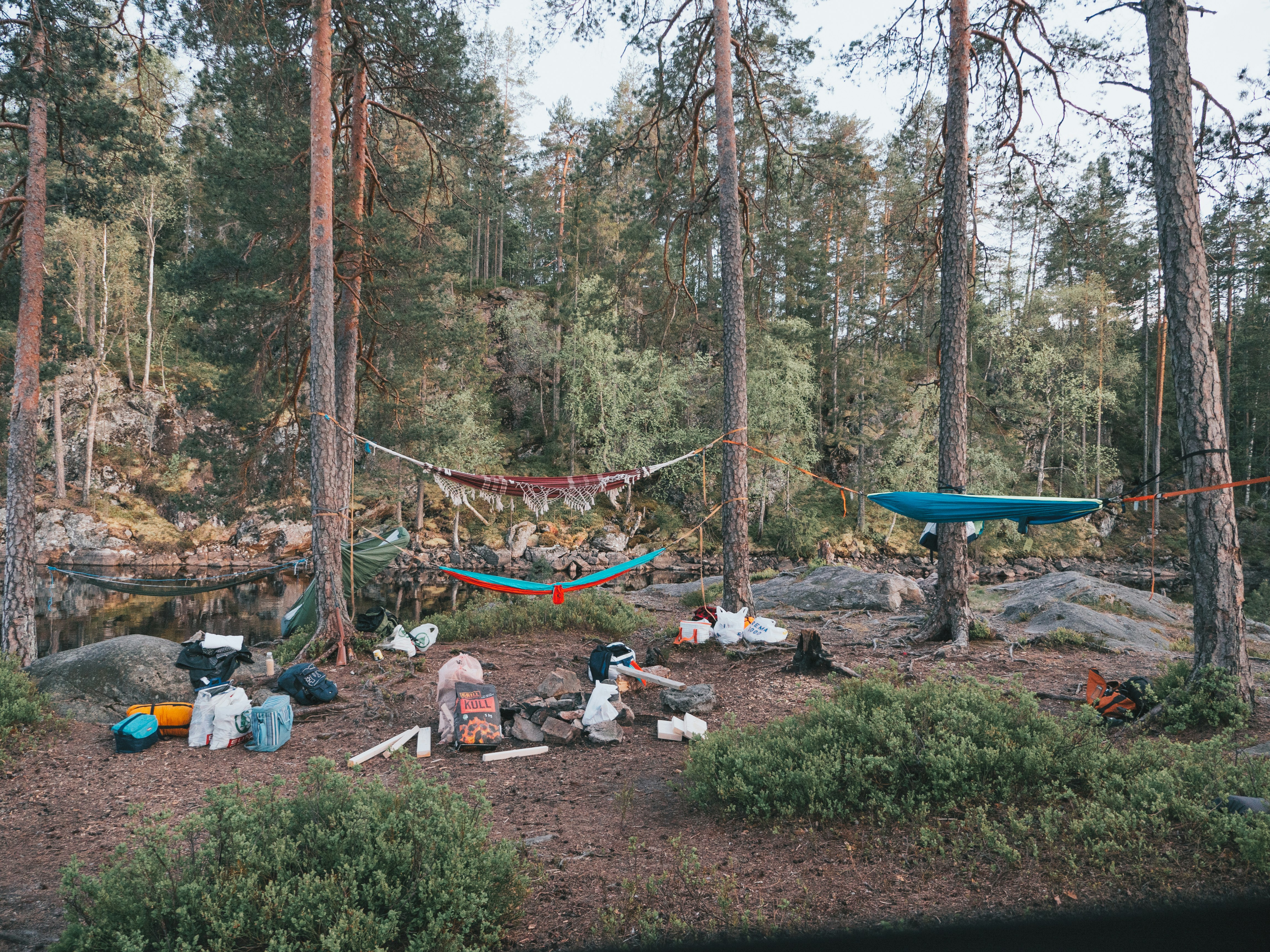 people sitting on green grass surrounded by trees during daytime
