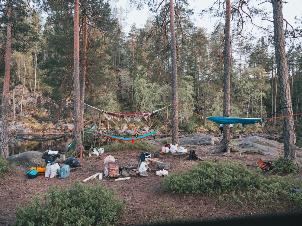 people sitting on green grass surrounded by trees during daytime