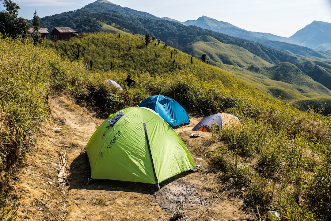 Camping photo spot Dzükou Valley India