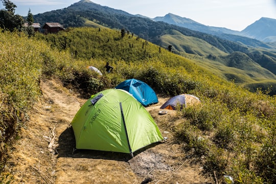 green dome tent on green grass field during daytime in Dzükou Valley India