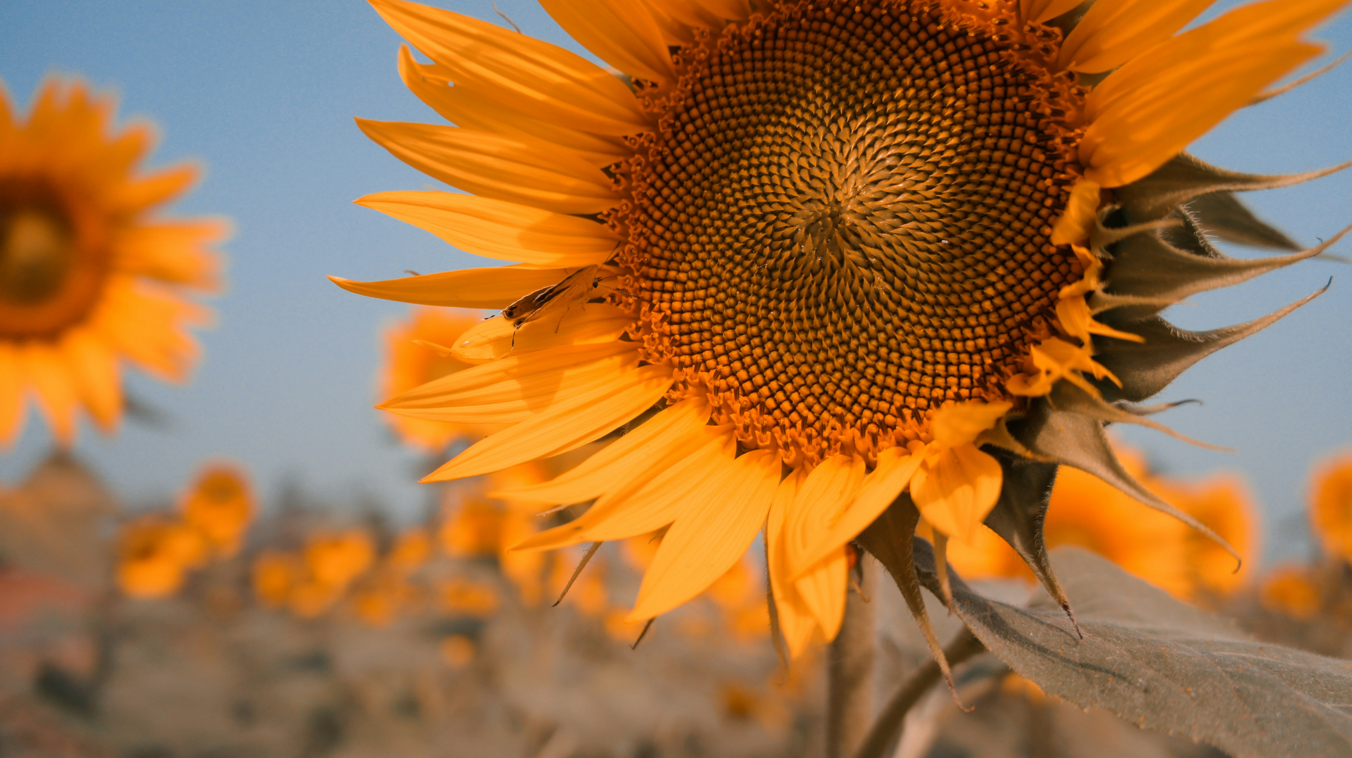 Photo by creativehand