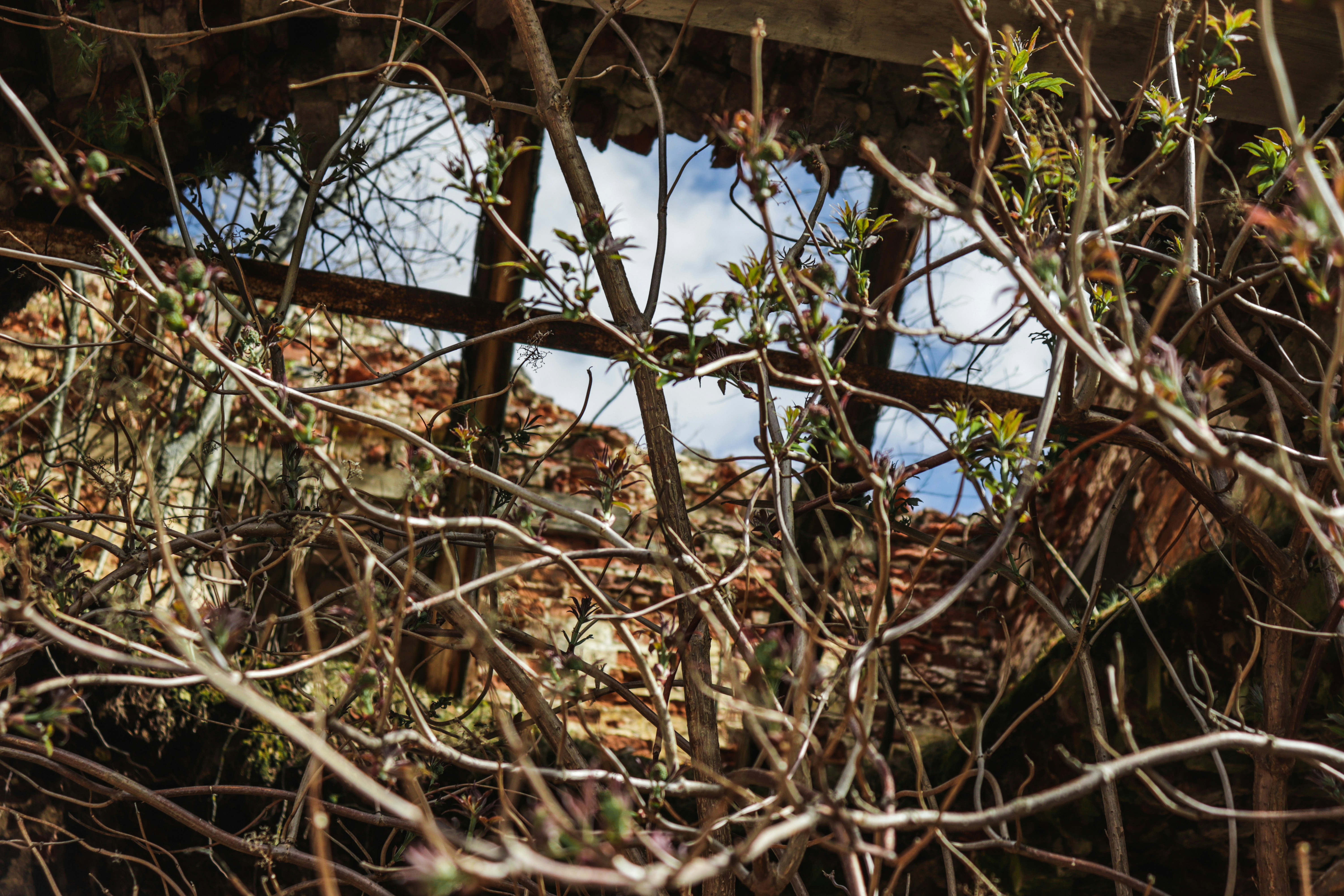 Photo by ladislav_sh