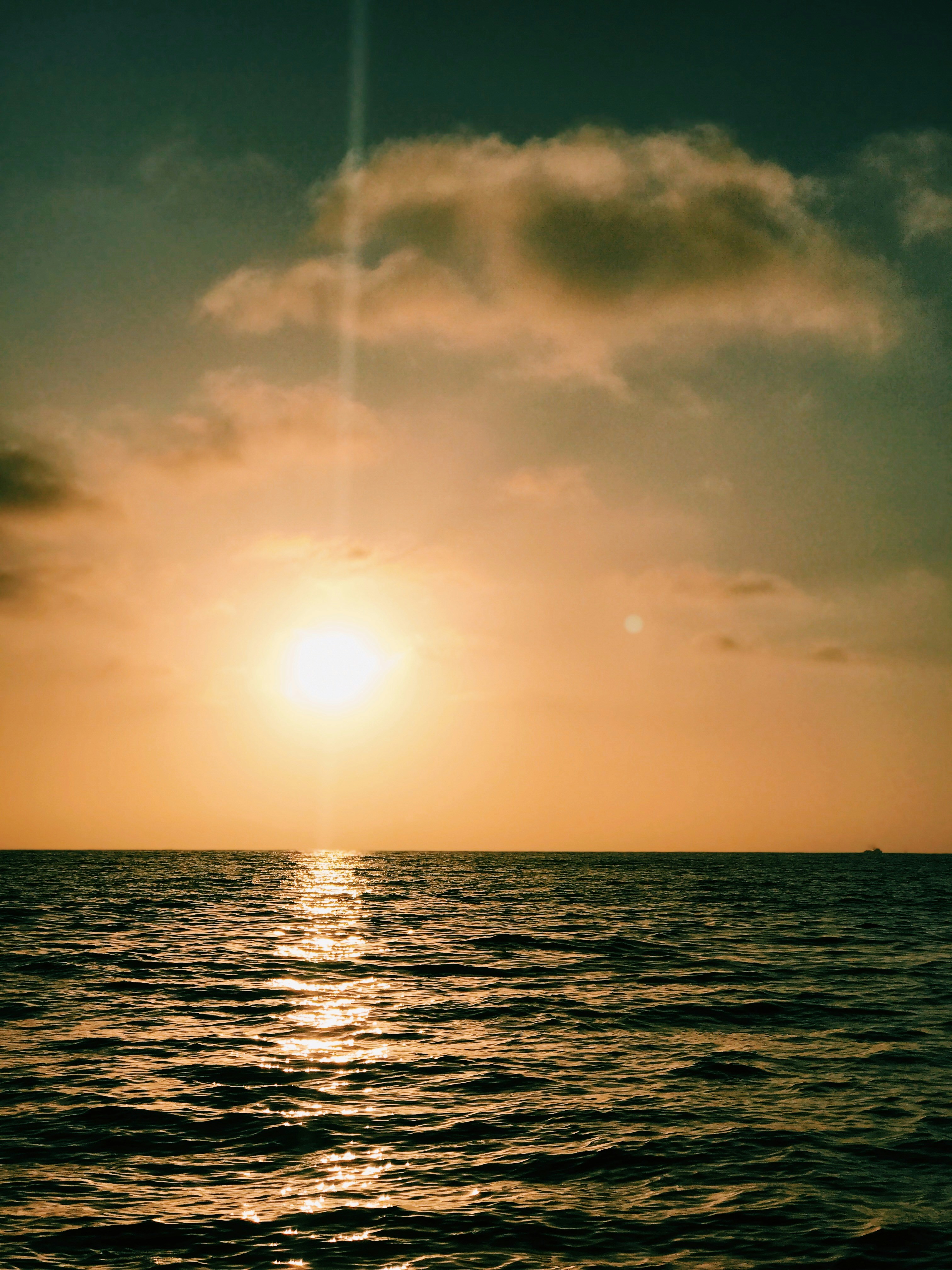 Photo by figueroagraphics