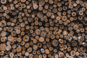 Premium Biomass Pellets