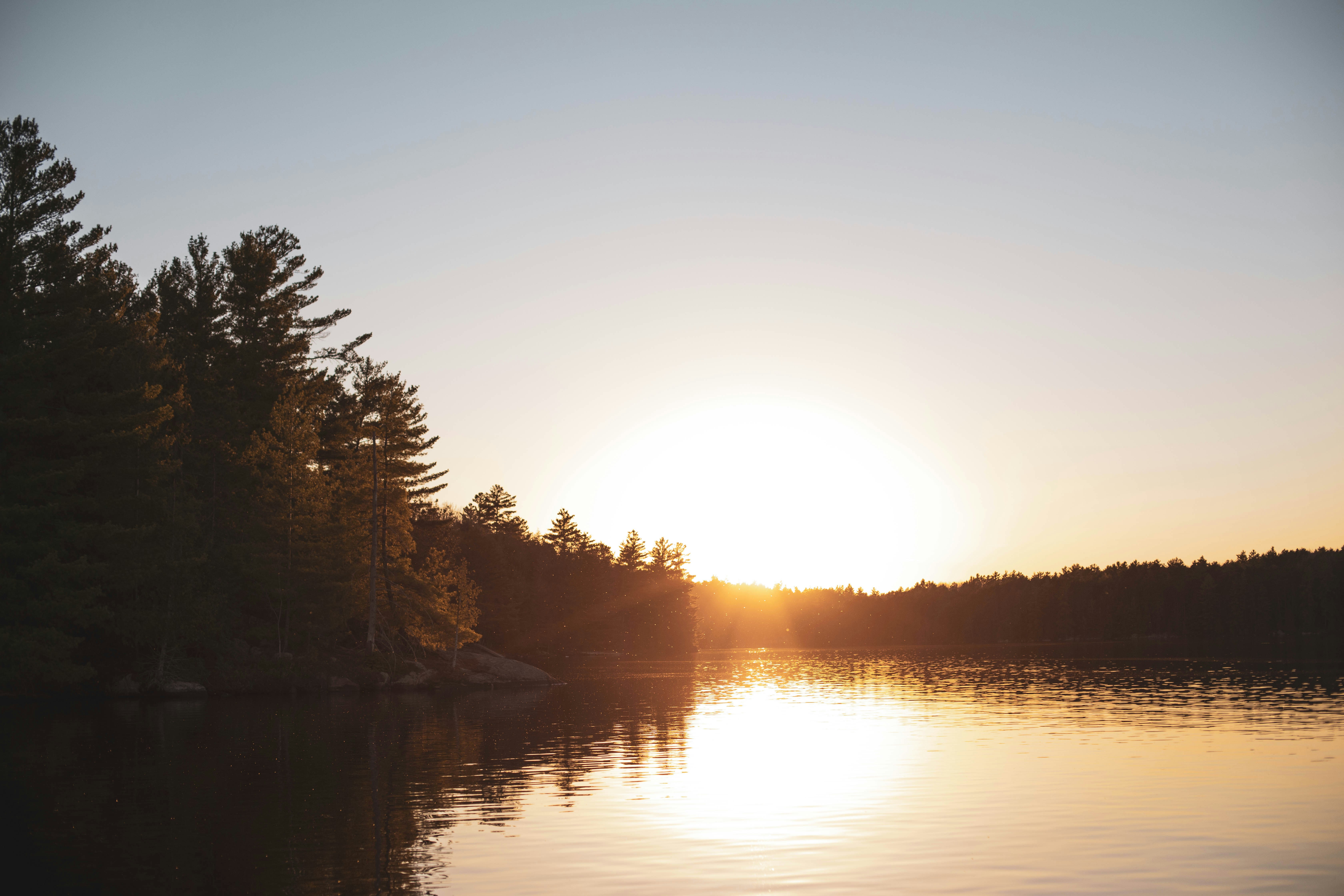 Photo by bradydrogers