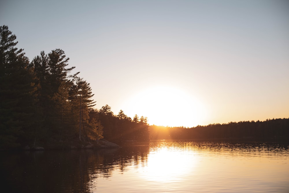 body of water near trees during sunset