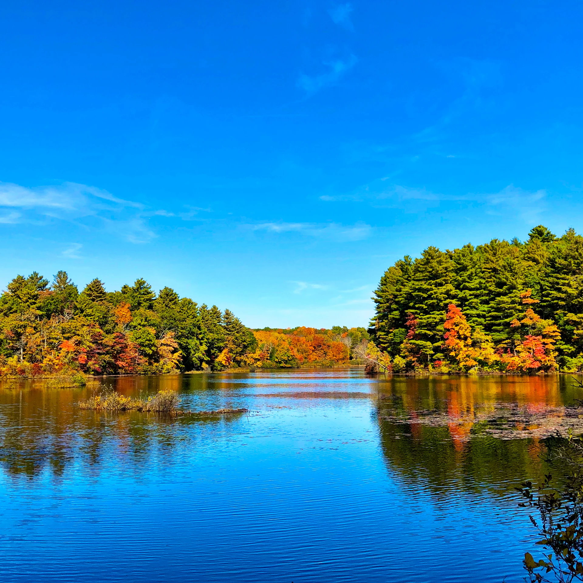 A tranquil lake reflecting the vibrant colors of autumn foliage under a clear blue sky.