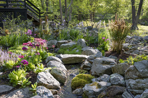 Drainage Solutions in Sandy Springs, GA