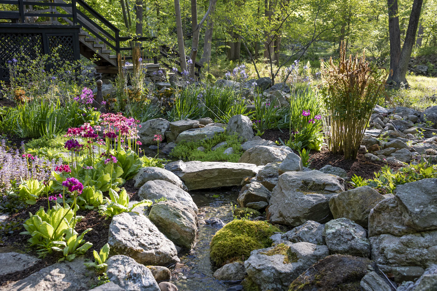 Backyard landscape with stream, boulders, flowering beds, and wooded backdrop beside a deck