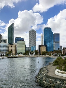 city skyline under blue sky during daytime