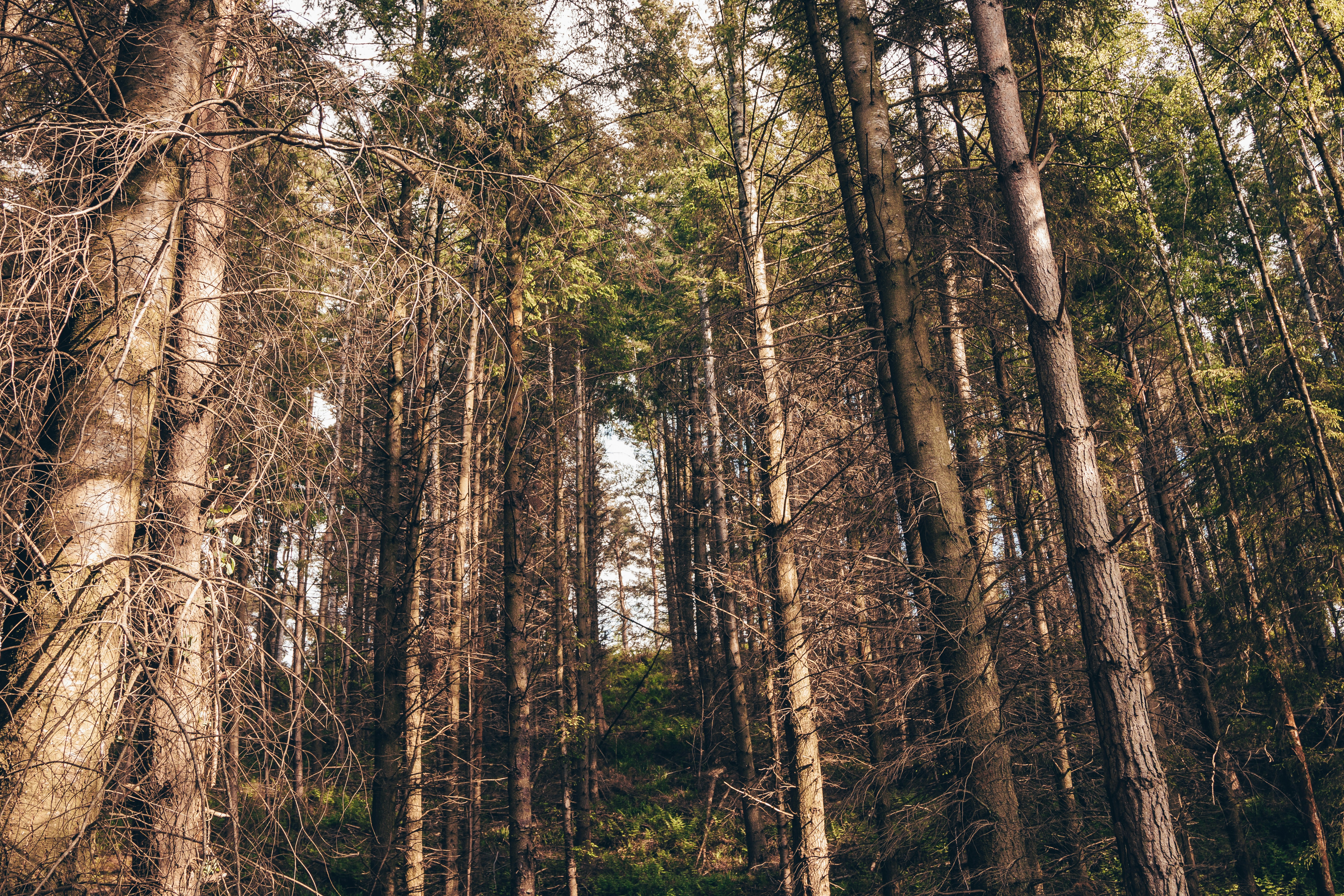 Photo by charliegreen998