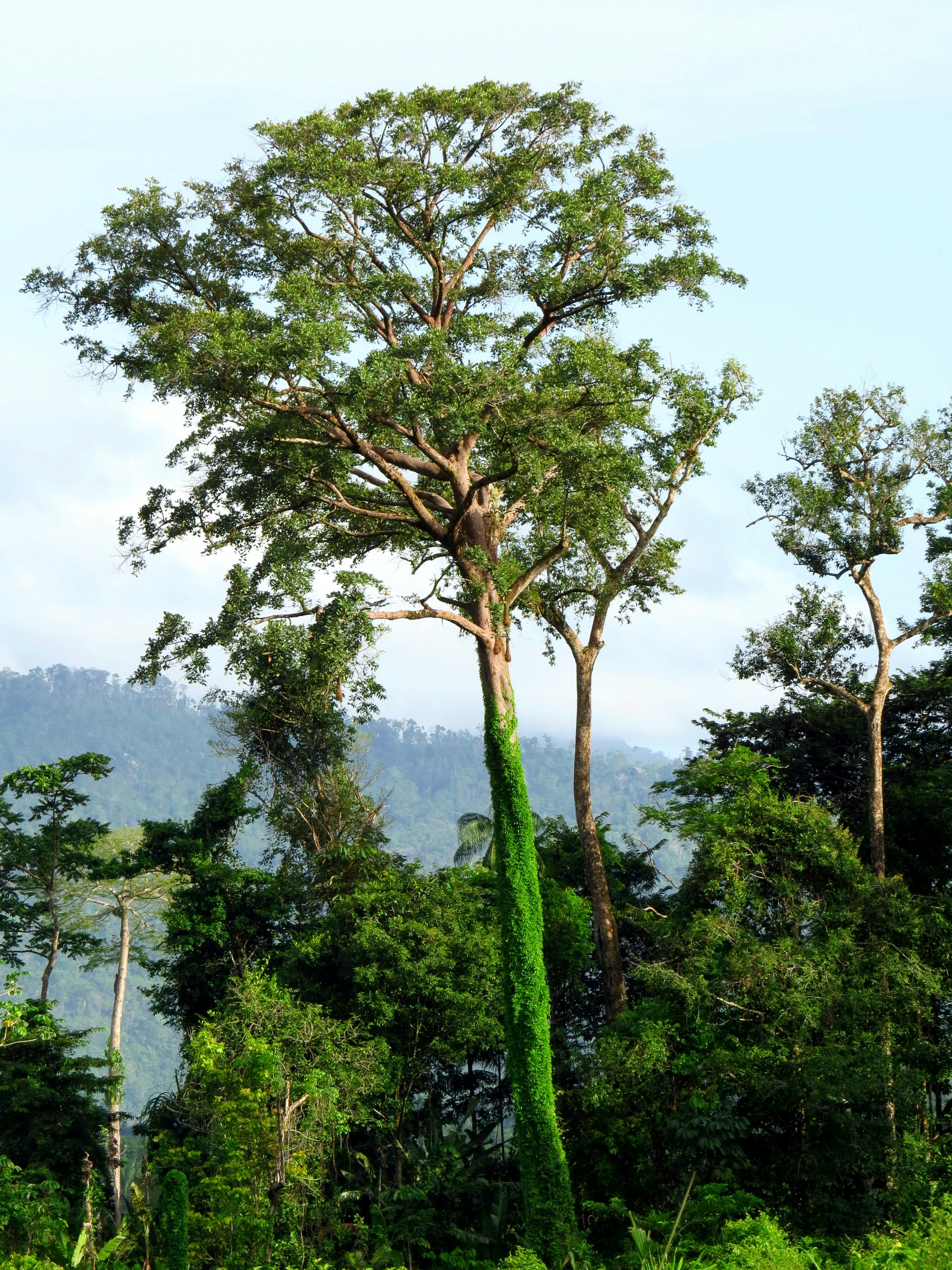 Photo by dienyportinanni