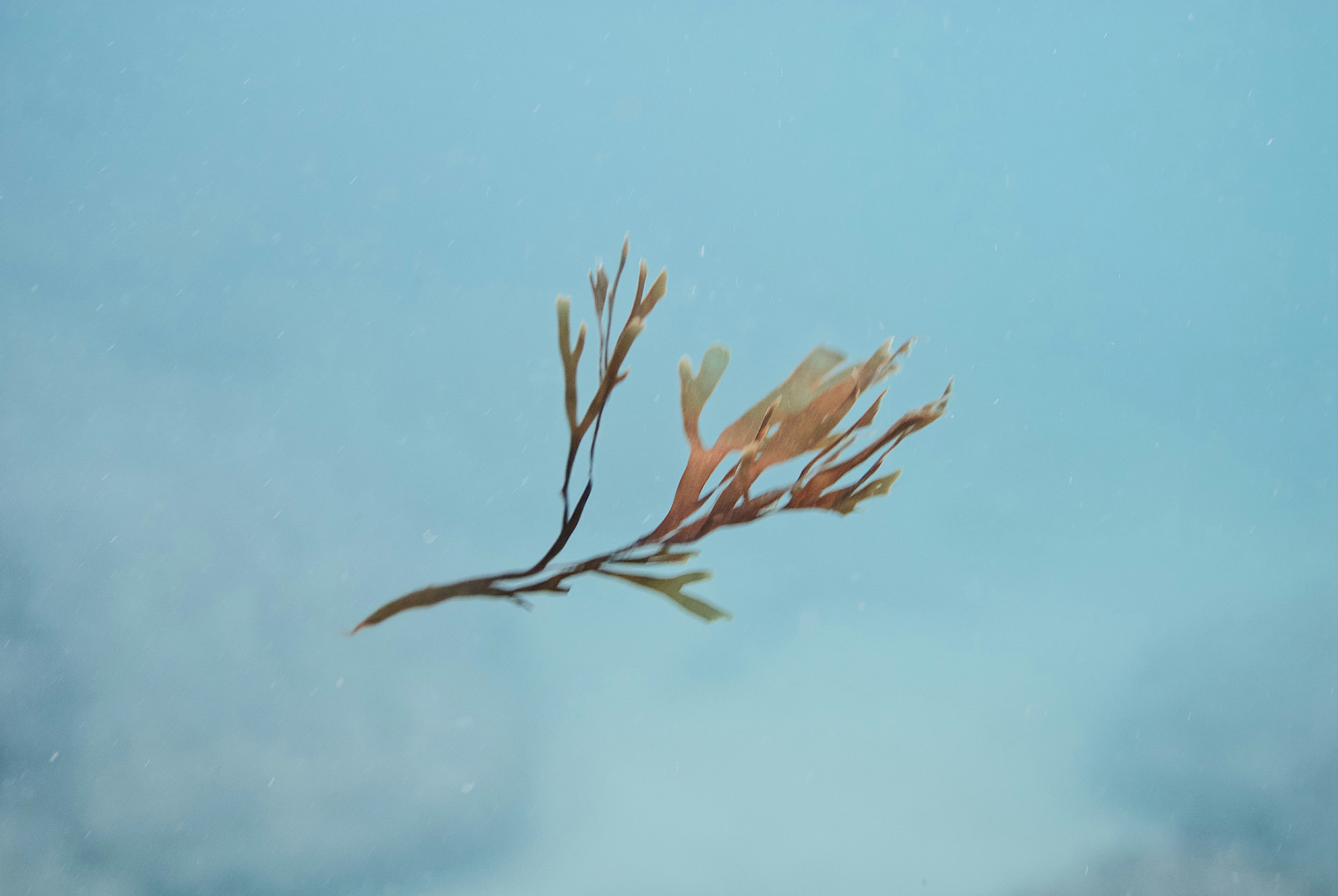 Photo by mael_balland