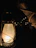 A dimly lit lantern hanging from a twisted branch, casting eerie shadows over old wooden floorboards.