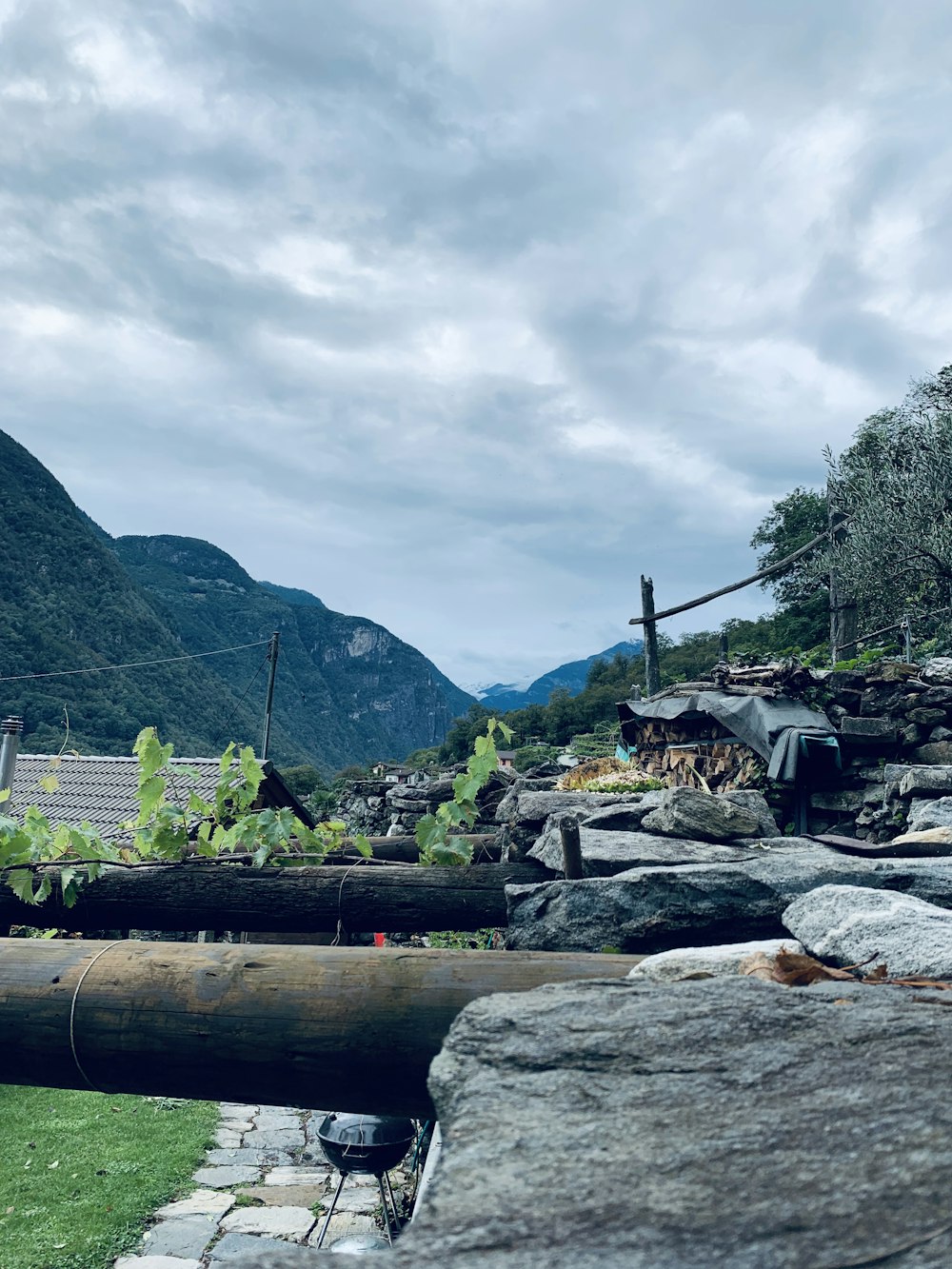 brown wooden log on gray rock near green mountains during daytime