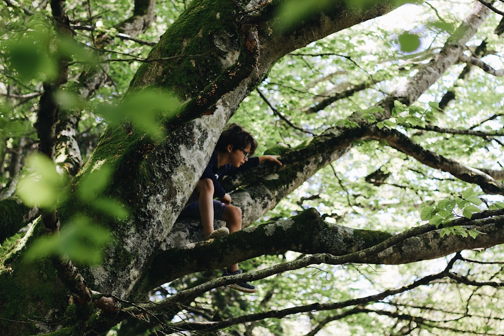 昼間に木に登る黒いタンクトップの女性