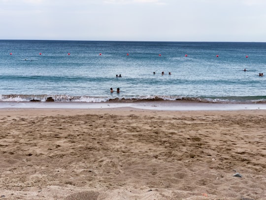 people on beach during daytime in Fujairah United Arab Emirates